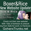 Boxer and Rice Website Update